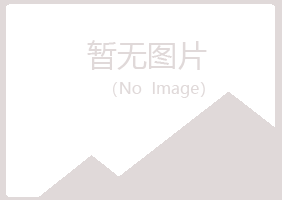 青岛黄岛迷失咨询有限公司